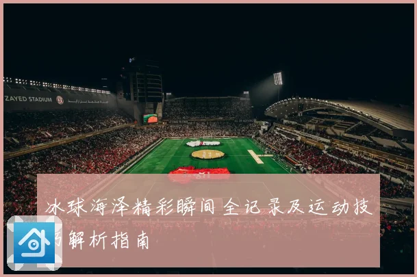 冰球海泽精彩瞬间全记录及运动技巧解析指南