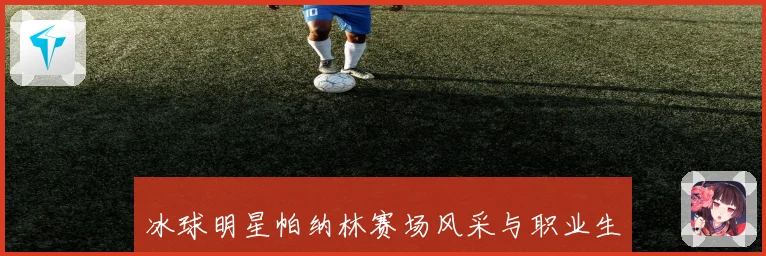 冰球明星帕纳林赛场风采与职业生涯精彩瞬间全解析